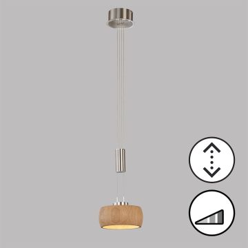 Fischer&Honsel SHINE-WOOD 61075 Pakabinama lempa 1x9W/LED 2700K 950 lm IP20
