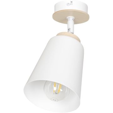 Emibig ATLAS 724/1 Taškinis šviestuvas 1x60W/E27 IP20