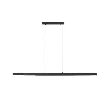 Paul Neuhaus LUZI 11660-13 Pakabinama lempa 3x13W/LED 3000K 1500LM IP20