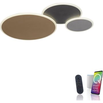 Paul Neuhaus Q-PIATO 8007-70 Stropo šviestuvas 3x40W/LED 2700-5000k 5100lm ip20