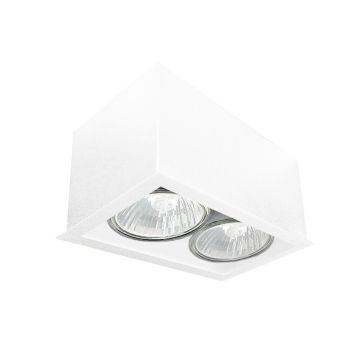 Antigo Cage 1081 downlight natynkowy 2x10W/GU10 IP20