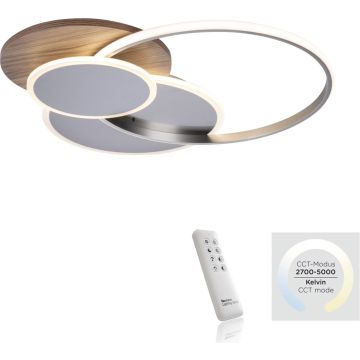Paul Neuhaus PALMA 8328-79 Stropo šviestuvas 1x55W/LED 2700-5000k 6000lm ip20