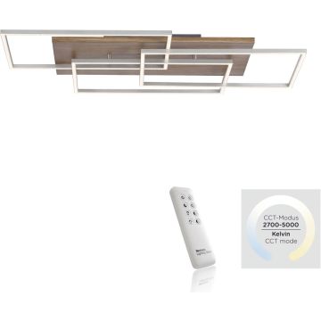 Paul Neuhaus PALMA 8330-79 Stropo šviestuvas 3x40W/LED ip20
