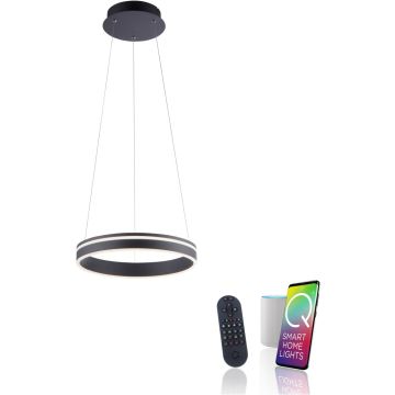 Paul Neuhaus Q-VITO 8410-13 Pakabinama lempa 1x33W/LED 2700-5000k 3250lm ip20
