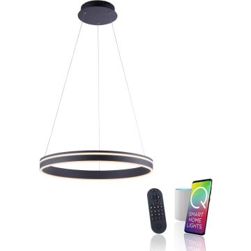 Paul Neuhaus Q-VITO 8411-13 Pakabinama lempa 1x44W/LED 2700-5000k 4550lm ip20