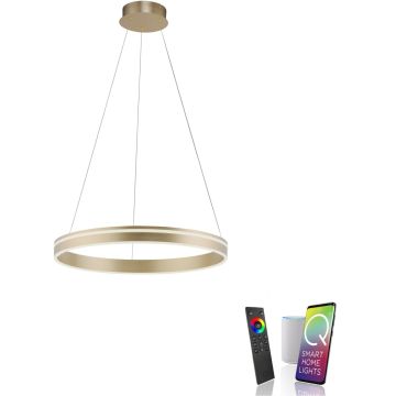 Paul Neuhaus Q-VITO 8411-60 Pakabinama lempa 1x44W/LED 2700-5000k 4550lm ip20