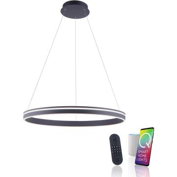 Paul Neuhaus Q-VITO 8412-13 Pakabinama lempa 1x65W/LED 2700-5000k 7000lm ip20