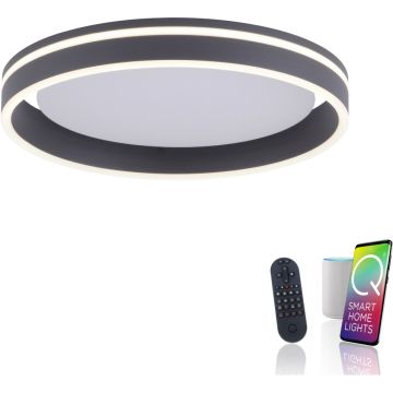 Paul Neuhaus Q-VITO 8414-13 Stropo šviestuvas 1x33W/LED 2700-5000k 3250lm ip20