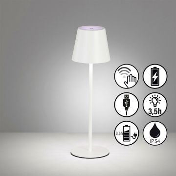 Fischer&Honsel Viletto 850354 Stalo lempa 1x2W/LED 3000K 190lm IP54