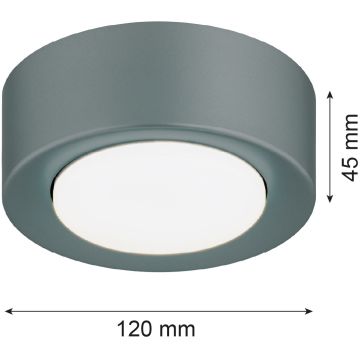 Argon ELORA 8917 Stropo šviestuvas 1x12W/GX53 ip20