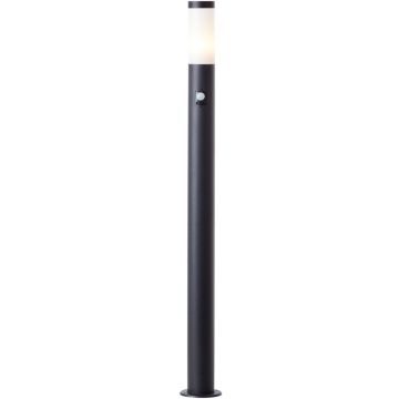 Brilliant Dody 90950A06 Stovinė lempa 1x20w/e27
