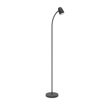 Eglo CARLO 902171 Stovinė lempa 1x18W/E14 ip20