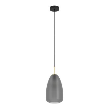 Eglo ALOBRASE 900506 Pakabinama lempa 1x40W/E27 IP20