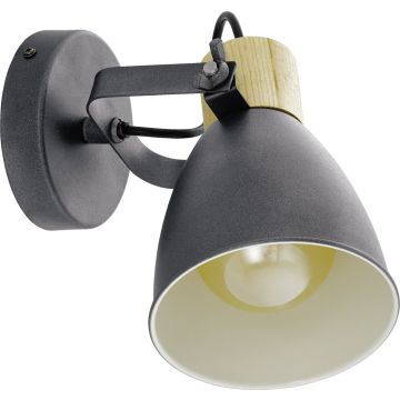 Eglo COSWARTH 901174 Taškinis šviestuvas 1x25w/e27 ip20