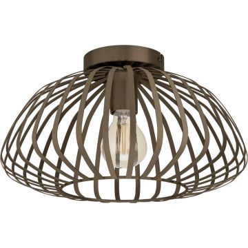 Eglo ESPINAL 901096 Stropo šviestuvas 1x40w/e27 ip20