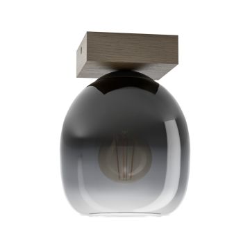 Eglo FILAGO 900825 Stropo šviestuvas 1x40W/E27 IP20