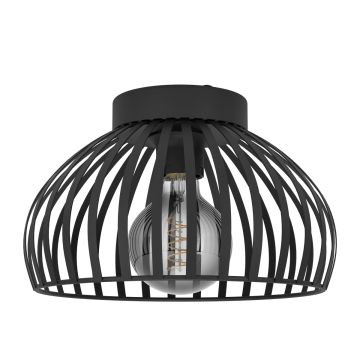 Eglo MOGANO 900792 Lubų šviestuvas 1x40W/E27 IP20