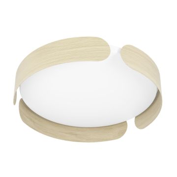 Eglo VALCASOTTO 901827 Lubų šviestuvas 20W/LED 3000K 2400lm ip20