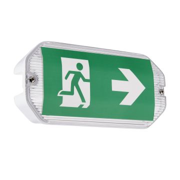 Endon SIGHT ECO 91358 Avarinė lemputė 3W/LED 6500K 220LM IP65