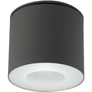 Nowodvorski HEXA 9565 Lubų šviestuvas 1x35W/GU10 IP44