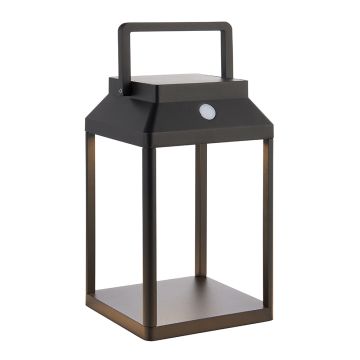 Endon LINTERNA 96931 Stovinė lempa 1x3.15W/LED 3000K 230LM IP44