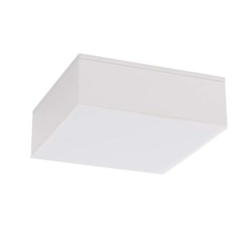 SHILO TOTTORI IL 7725 Lubų šviestuvas 1x10W/LED 1000LM IP20