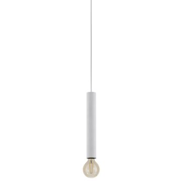 Eglo TB CORTENOVA 99753 Geležinkelio švieslentė 1x40W/E27 IP20
