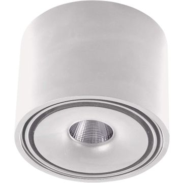 AZzardo BOSTON TUBE AZ3469 Lubų šviestuvas 1x10W/LED 3200K 685LM IP20