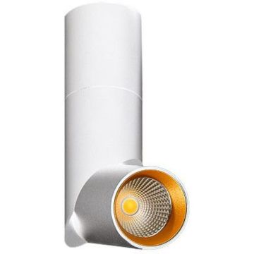 AZzardo SANTOS AZ2417 Taškinis šviestuvas 1x12W/LED 950LM