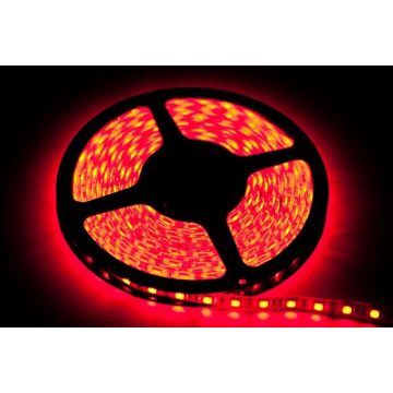Eko-Light LED STRIP EKPL735 LED juostelė 12W/250cm IP65