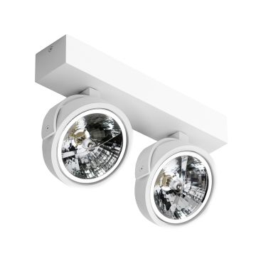 AZzardo JERRY AZ1369 Taškinis šviestuvas 2x50W/QR111 IP20