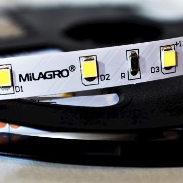 Milagro LED STRIP ML4747 LED juostelė 24W/500cm IP20