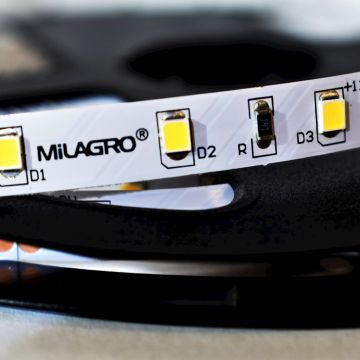 Milagro LED STRIP ML4748 LED juostelė 24W/500cm IP20