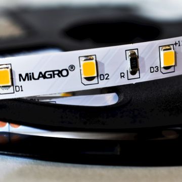 Milagro LED STRIP ML4749 LED juostelė 24W/500cm IP20