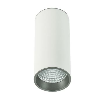 Italux MOLDES SLC7392/12W 4000K WH+GR Lubų šviestuvas 1x12W/LED 820LM IP20