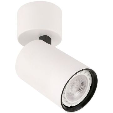 Italux LACONI SPL-2846-1SC-WH Taškinis šviestuvas 1x35W/GU10 IP20
