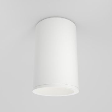 Maytoni ZOOM C029CL-01-S-W Lubų šviestuvas 1x50W/GU10 IP65