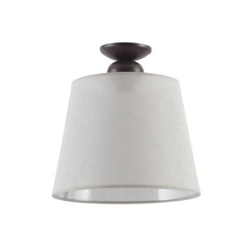 Jupiter KAMELIA 1387 Stropo šviestuvas 1x15W/E27 IP20