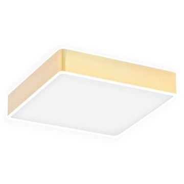Argon ATLANTIS 4051 Lubų šviestuvas 1x32W/LED 3000K 3900LM IP20