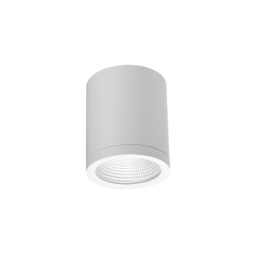 Azzardo CONYON AZ6028 1x15W/LED 3000|4000|6000 900lm IP54