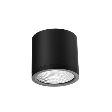 Azzardo CONYON AZ6029 1x25W/LED 3000|4000|6000 1400lm IP54
