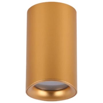AZzardo EIGER AZ5239 Lubų šviestuvas 1x60W/GU10 IP54