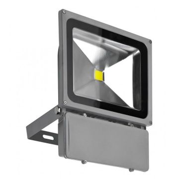 AZzardo FLOOD LIGHT AZ1201 Halogeninis prožektorius 1x80W/LED 4200K 5600LM IP65