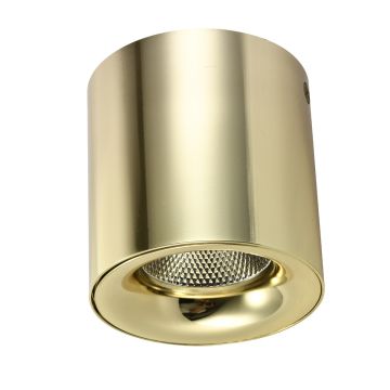 AZzardo MANE AZ4154 Lubų šviestuvas 1x20W/LED 3000K IP20