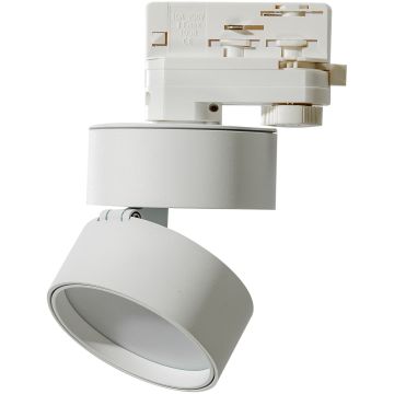 AZzardo MONA AZ4544 Geležinkelio švieslentė 1x12W/LED 4000K IP20