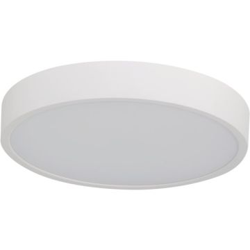 Azzardo PANDINO AZ6589 Lubų šviestuvas 1x24w/led 2800k/4000k/6000k ip44