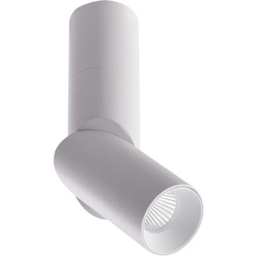 AZzardo SANTOS AZ4182 Lubų šviestuvas 1x12W/LED 3000K 820LM IP20