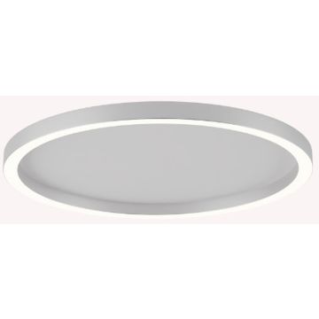 Zambelis CEILING LED LAMP 25165 Lubų šviestuvas 41W/led 2700-3000-4000K 2170-2199-2224lm IP20