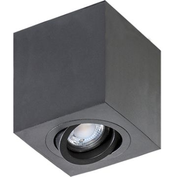 AZzardo BRANT AZ2825 Lubų šviestuvas 1x50W/GU10 IP20