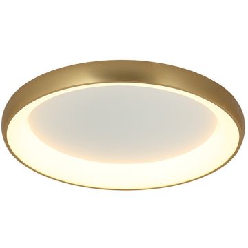 Zambelis CEILING LED LAMP 2058 Lubų šviestuvas 55W/led 3000K 4080lm IP20